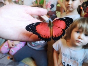 IMG_20210326_114242